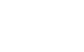 Logo Fizzle Grafix