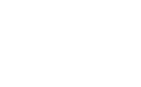 Logo VL Horsetraining