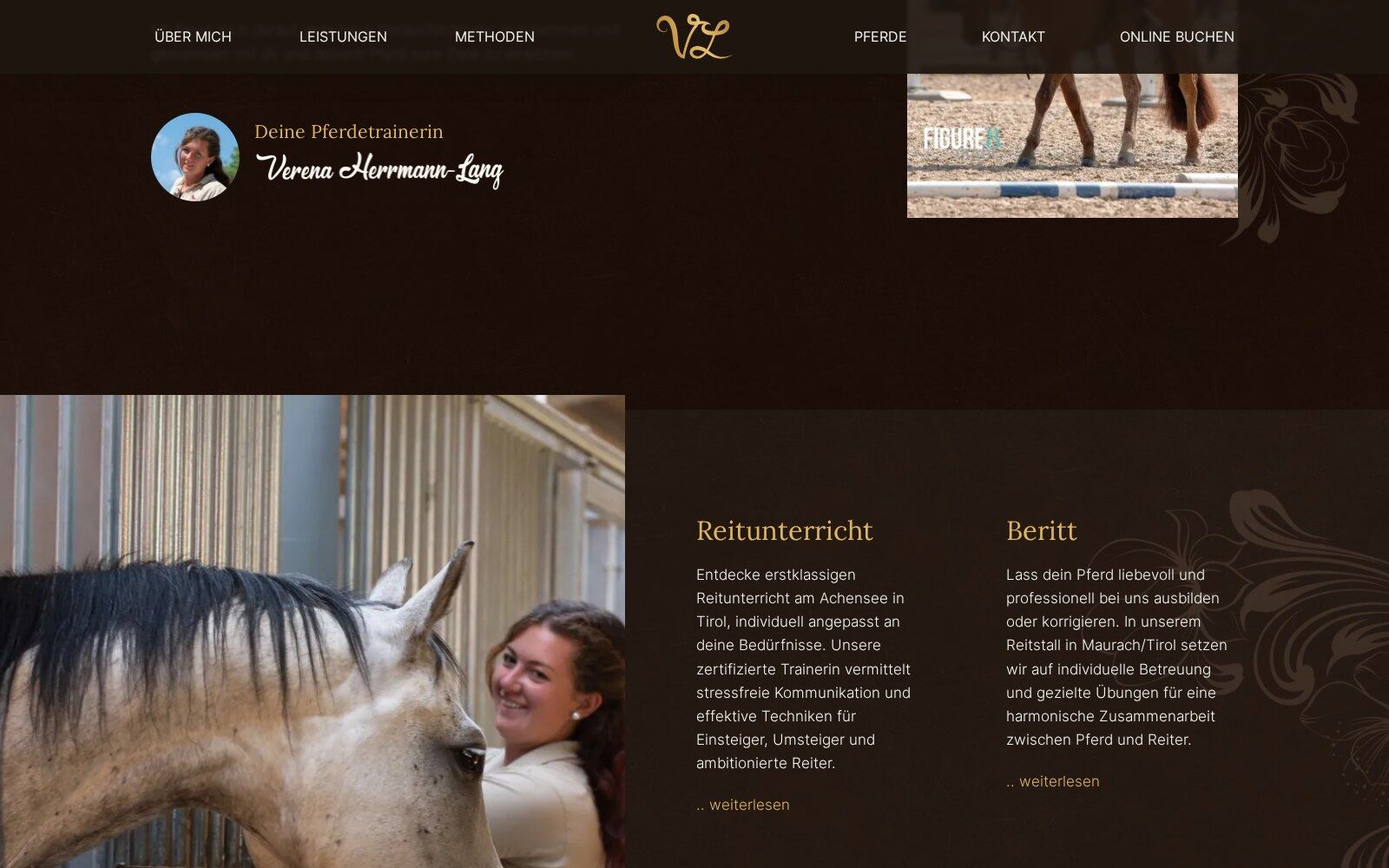 Leistungen von VL Horsetraining: Reitunterricht und Beritt