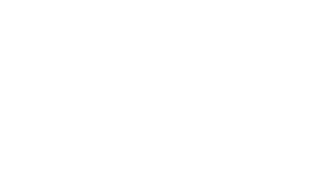 Logo Sea Master Shipping