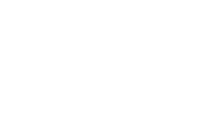 Logo Messnerhof – seit 1576