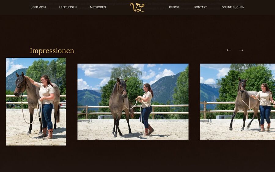 Impressionen von VL Horsetraining mit Pferd und Trainerin