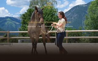 Startseite von VL Horsetraining mit Pferd und Reiterin